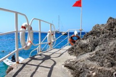 开云电子-海湾者未来青训体系逐渐完善，海湾技术